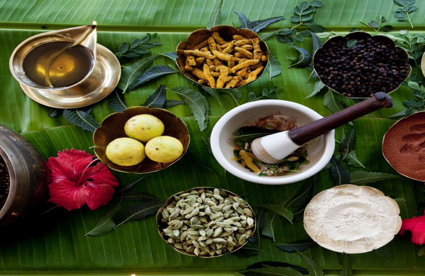 Manavaidyam Ayurvedic Clinic