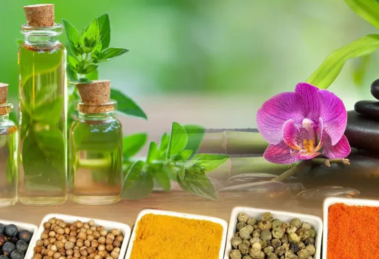 SURUL CHETTINAD AYURVEDIC