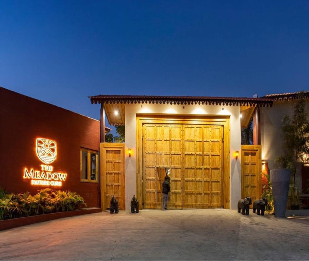 The Meadow Nature Cure