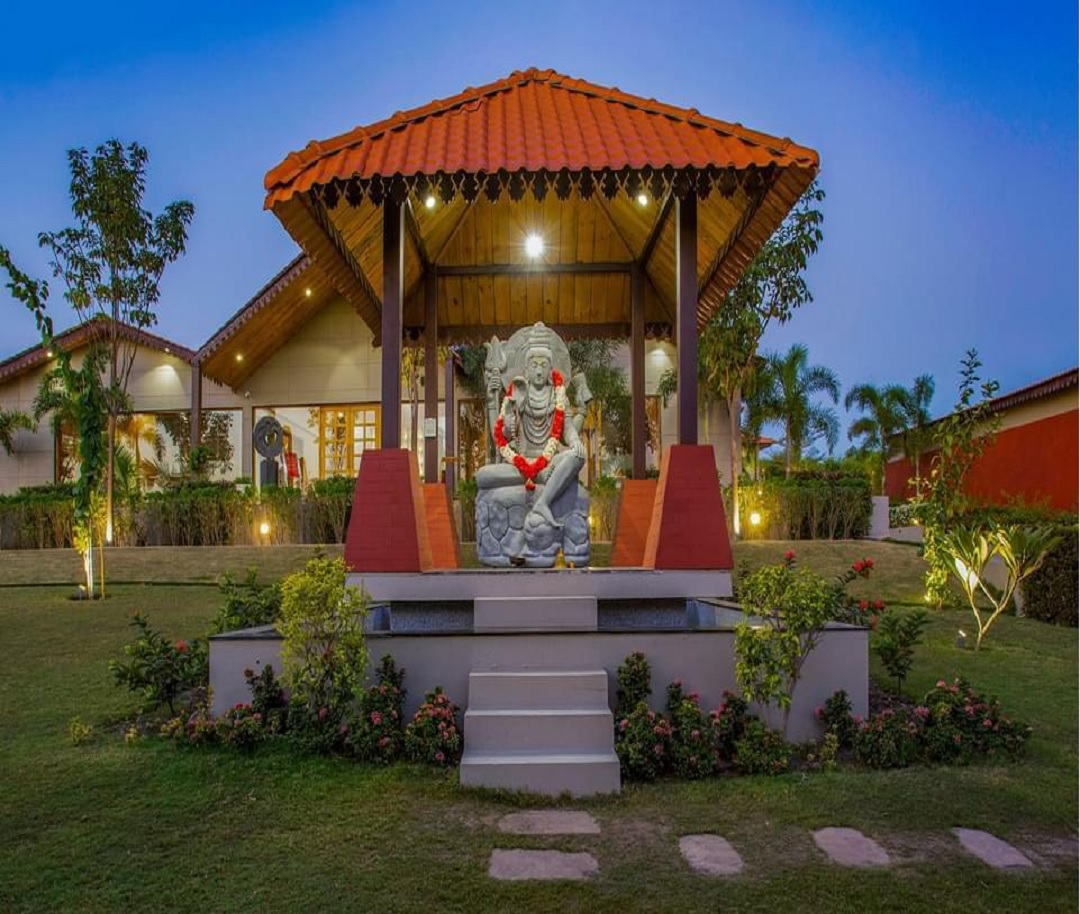 The Meadow Nature Cure