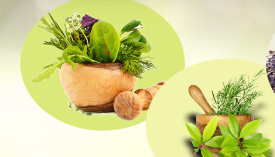 Dr Anurag Jain MD Ayurved