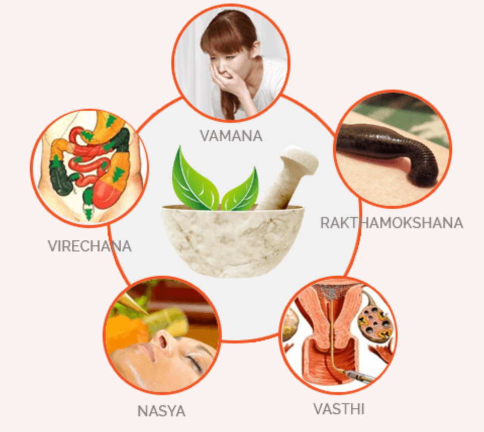 Arogya Ayurveda Panchakarma Center PVT LTD