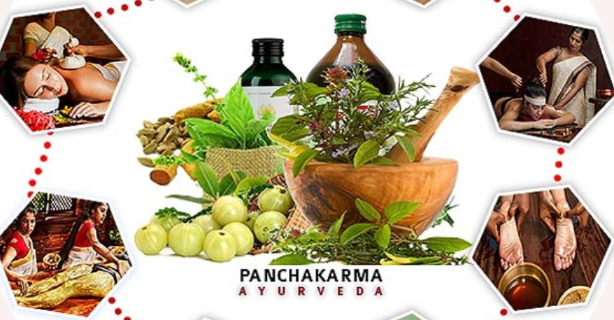 Arogya Ayurveda Panchakarma Center PVT LTD