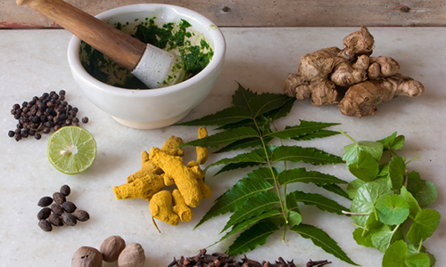 Nisarga Ayurvedic Medicine Research Centre