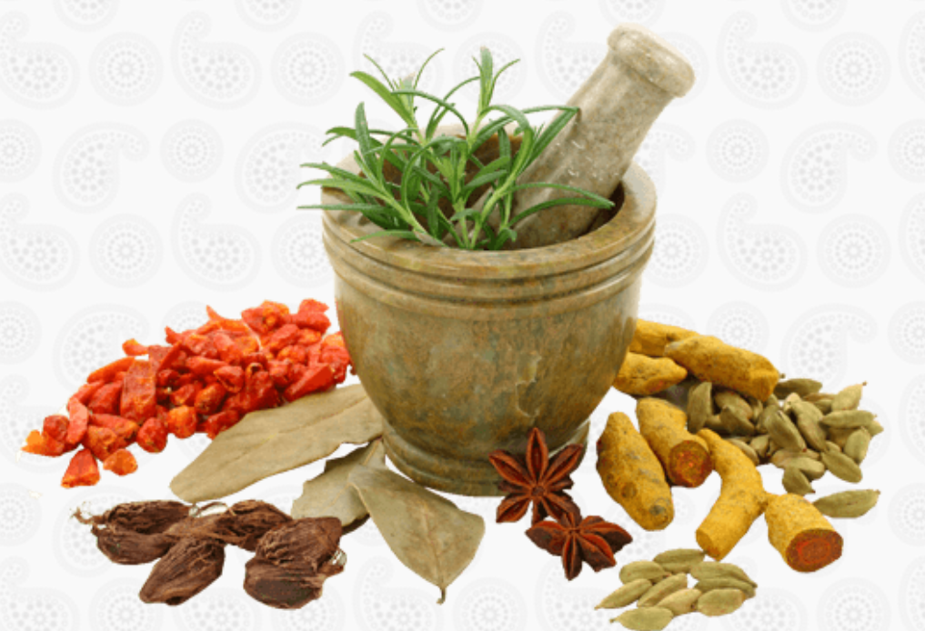 AyushNidhi Ayurveda Hospital