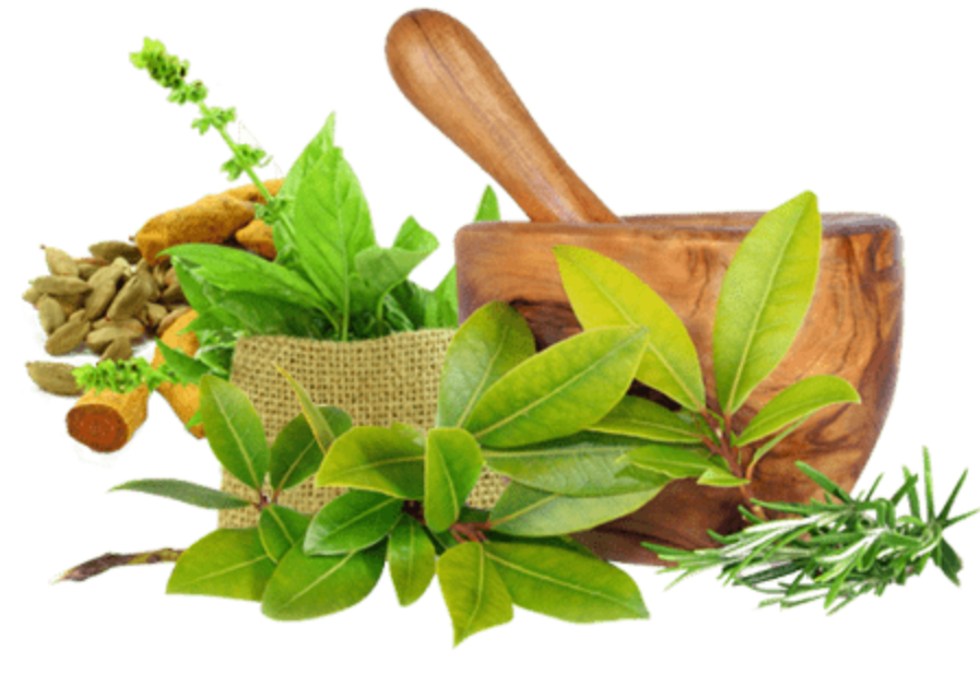 Shraddha An Authentic Ayurveda
