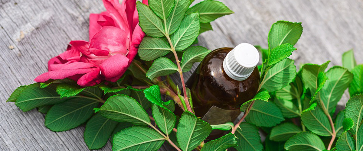 Cauvery Ayurveda Gramam