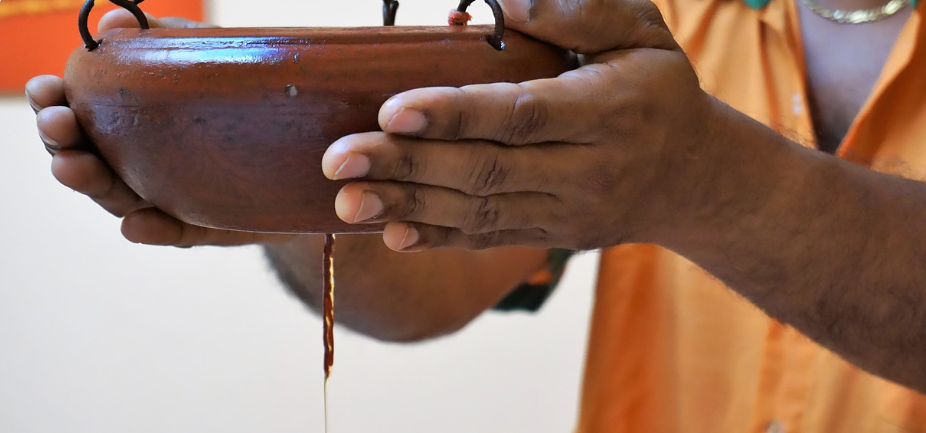 Dr Sreelekshmis Kerala Ayurveda Centre