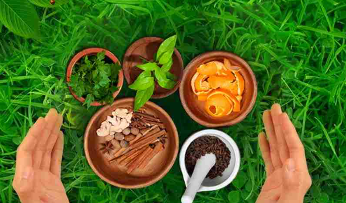 Dr. Sreelekshmis kerala Ayurveda Centre