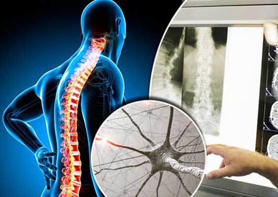 Ayurishi nature care