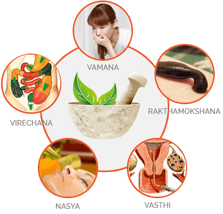 Arogya Ayurveda Panchakarma Center Pvt. Ltd